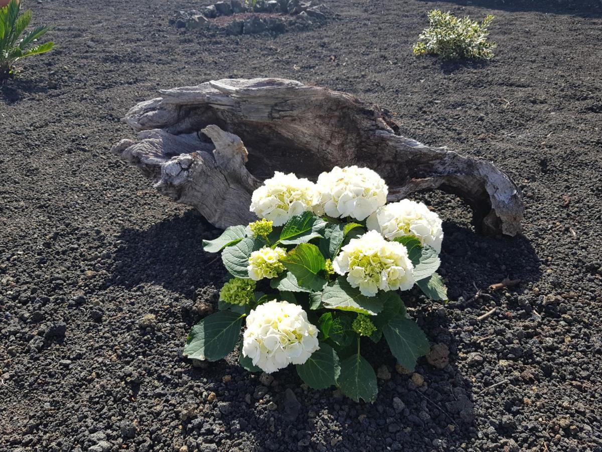 Casa Lela I Villa Fuencaliente de la Palma Esterno foto